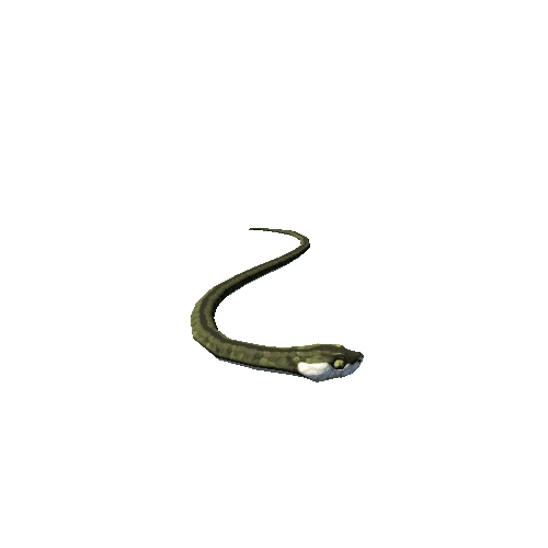 Snake 11